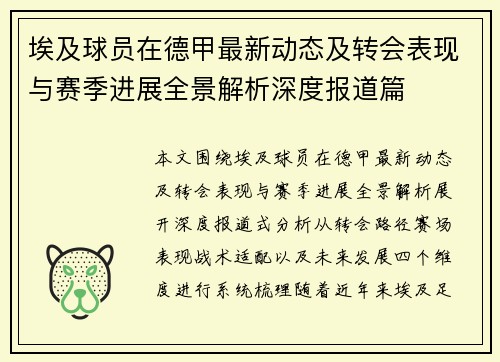 埃及球员在德甲最新动态及转会表现与赛季进展全景解析深度报道篇 埃及球员在德甲最新动态及转会表现与赛季进展全景解析深度报道篇